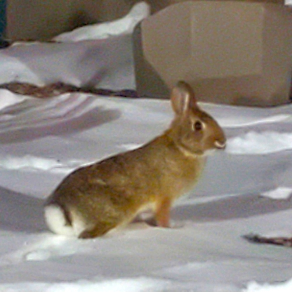 Meet your Posher, Yolanda